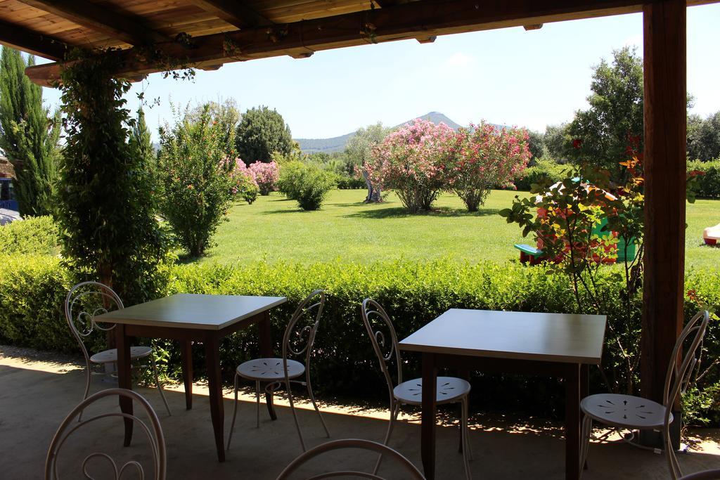 Agriturismo Eucaliptus ボルゲリ エクステリア 写真