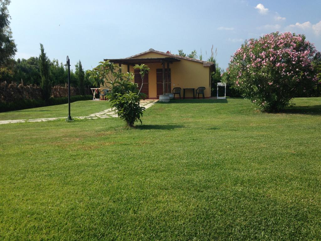Agriturismo Eucaliptus ボルゲリ エクステリア 写真