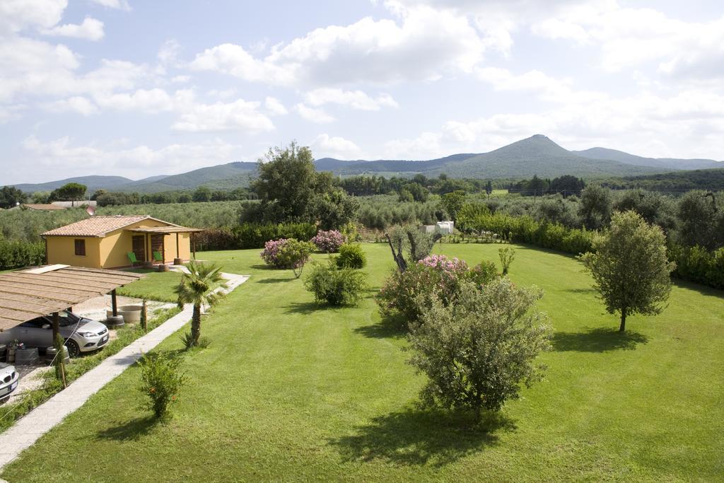 Agriturismo Eucaliptus ボルゲリ エクステリア 写真