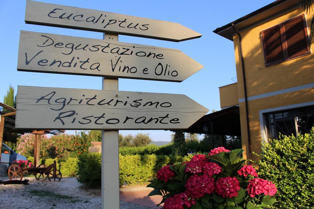 Agriturismo Eucaliptus ボルゲリ エクステリア 写真